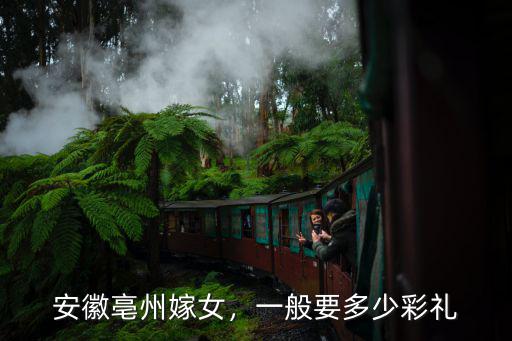 安徽亳州嫁女，一般要多少彩禮