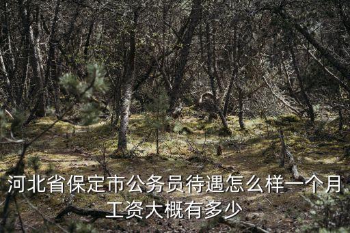 石家莊公務(wù)員副科級待遇工資多少,副科級公務(wù)員基本工資多少