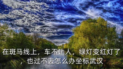 在斑馬線上，車不讓人，綠燈變紅燈了，也過不去怎么辦坐標武漢