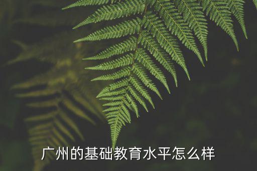 廣州的基礎(chǔ)教育水平怎么樣