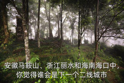 安徽馬鞍山、浙江麗水和海南海口中，你覺得誰會是下一個二線城市