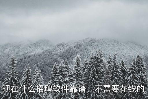 六安求職招聘軟件開(kāi)發(fā)需要多少錢(qián),現(xiàn)在什么招聘軟件靠譜