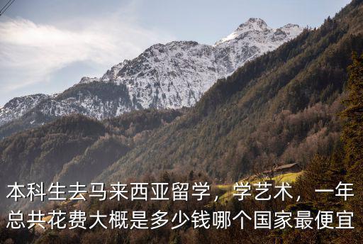 本科生去馬來西亞留學(xué)，學(xué)藝術(shù)，一年總共花費(fèi)大概是多少錢哪個(gè)國(guó)家最便宜