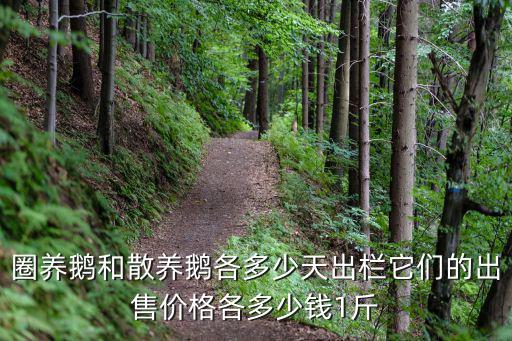 安徽2.4公斤的咸鵝多少錢(qián)一斤,4月份白條鵝多少錢(qián)一斤