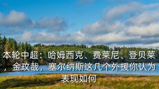 本輪中超：哈姆西克、費萊尼、登貝萊，金玟哉，塞爾納斯這幾個外援你認為表現如何