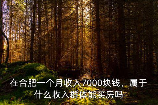 在合肥一個月收入7000塊錢，屬于什么收入群體能買房嗎