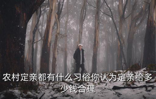 農村定親都有什么習俗你認為定親給多少錢合理