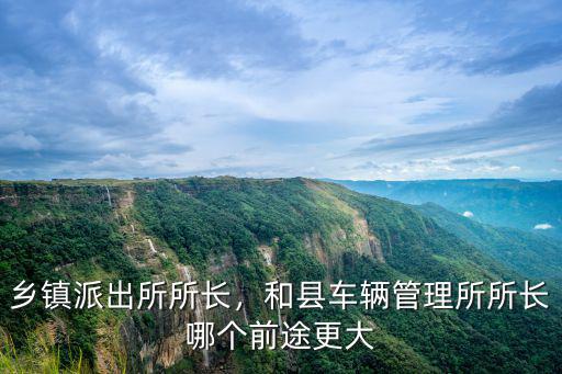 石家莊派出所所長工資多少,鄉(xiāng)鎮(zhèn)派出所所長