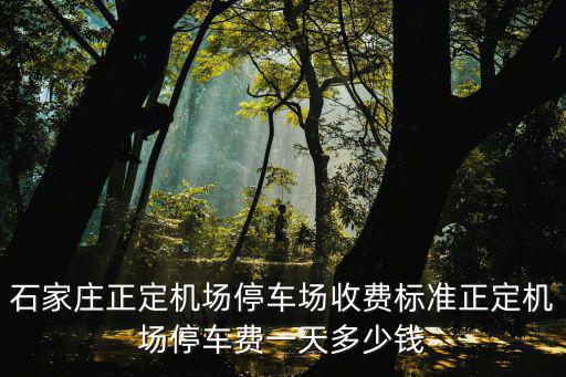 石家莊正定機場停車場收費標準正定機場停車費一天多少錢