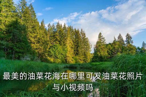 廣安鄰水油菜花海在哪里,最美的油菜花海在哪里
