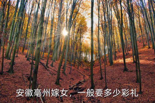 安徽蕭縣彩禮錢要多少,安徽淮北市結婚彩禮錢是多少