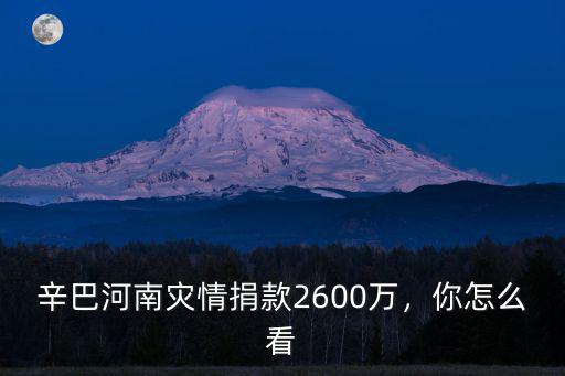辛巴河南災情捐款2600萬，你怎么看