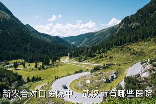 武漢黃浦中西醫結合醫院看病怎么樣,武漢市有哪些醫院