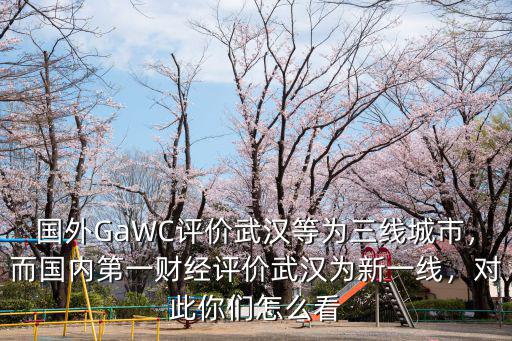 外國人怎么評論中國武漢,外國網(wǎng)友是怎么評論武漢的