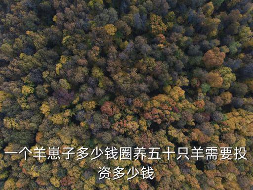 一個羊崽子多少錢圈養五十只羊需要投資多少錢