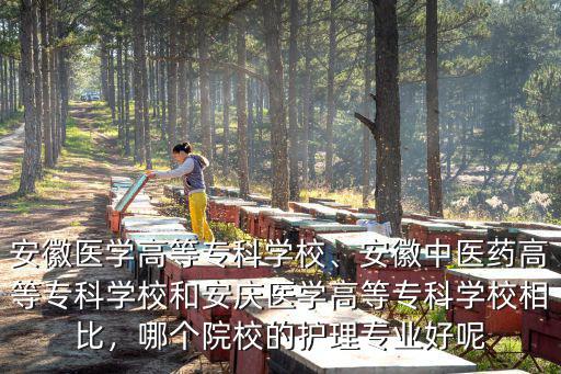 安徽醫學高等專科學校、安徽中醫藥高等專科學校和安慶醫學高等專科學校相比，哪個院校的護理專業好呢