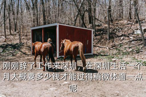 剛剛辭了工作來深圳，在深圳生活一個月大概要多少錢才能過得稍微體面一點呢