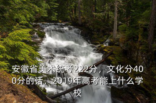 安徽省美術統考222分，文化分400分的話，2019年高考能上什么學校