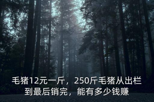 蚌埠毛豬多少一斤,毛豬12元一斤