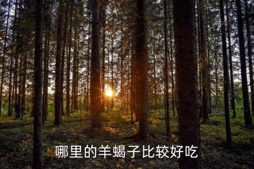 哪里的羊蝎子比較好吃