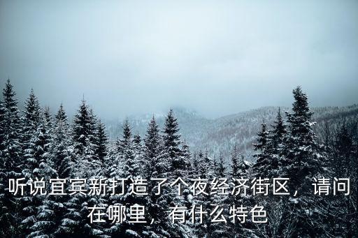 聽說宜賓新打造了個夜經濟街區，請問在哪里，有什么特色