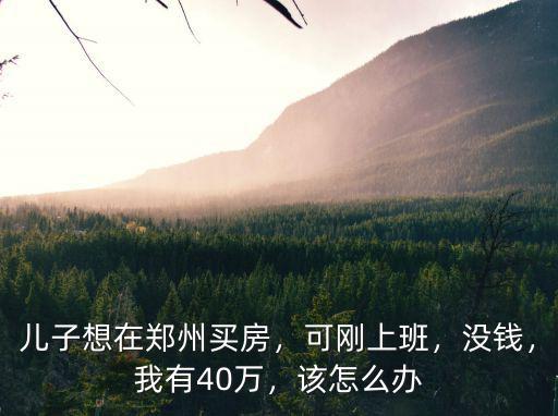 兒子想在鄭州買房，可剛上班，沒錢，我有40萬，該怎么辦