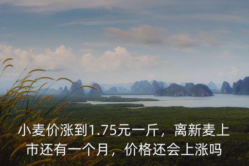 小麥今日收購價多少錢一斤阜陽,稻谷最低收購價多少錢一斤