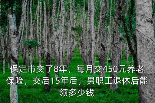 保定每月交養(yǎng)老保險多少,每月交450元養(yǎng)老保險