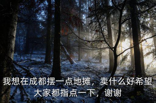 我想在成都擺一點地攤，賣什么好希望大家都指點一下，謝謝