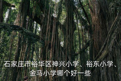石家莊神興小學(xué)多少孩子,石家莊哪些小學(xué)比較好