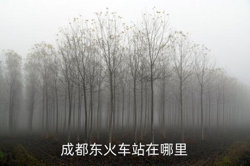 成都新火車東站在哪里,成都東火車站在哪里
