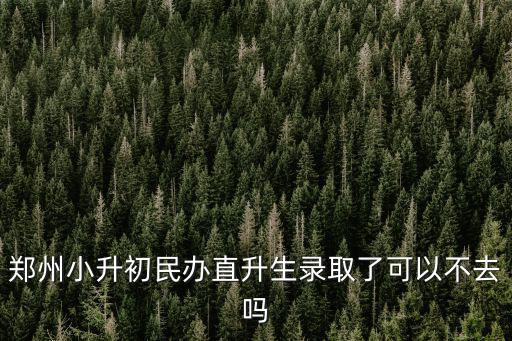 鄭州小升初民辦怎么報名,鄭州小升初全民搖號你怎么看