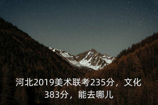 河北美術聯考多少分可以嗎,河北美術聯考249分