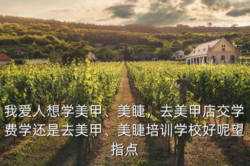 我愛人想學美甲、美睫，去美甲店交學費學還是去美甲、美睫培訓學校好呢望指點