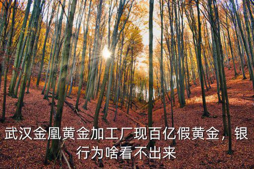 武漢金凰黃金怎么調包,武漢金凰現百億假黃金案