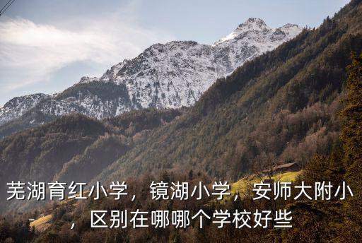 蕪湖育紅小學，鏡湖小學，安師大附小，區別在哪哪個學校好些