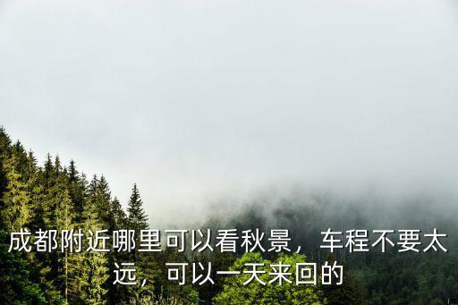 成都4p在哪里能看,成都的天府新區在哪里