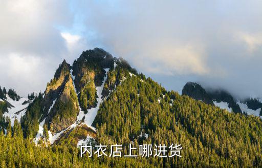 四川富順縣開內衣店到哪里進貨,新手開內衣店怎么進貨