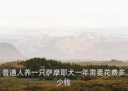 六安養薩摩耶多少錢,純種薩摩耶多少錢