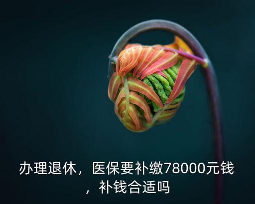 辦理退休，醫保要補繳78000元錢，補錢合適嗎