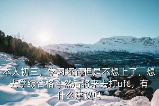 本人初三，學習還行但是不想上了，想去學綜合格斗然后將來去打ufc，有什么建議嗎