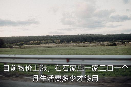 石家莊每個月花銷多少正常,每個月能花費多少呢