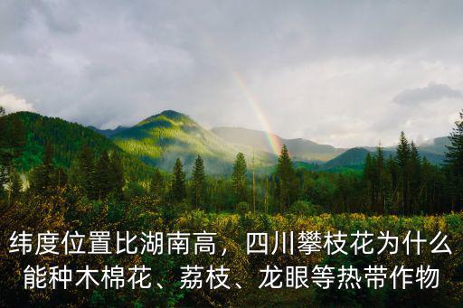 緯度位置比湖南高，四川攀枝花為什么能種木棉花、荔枝、龍眼等熱帶作物
