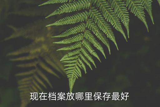 現(xiàn)在檔案放哪里保存最好