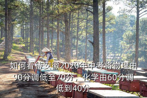 如何看待安徽2020年中考將物理由90分調低至70分，化學由60分調低到40分