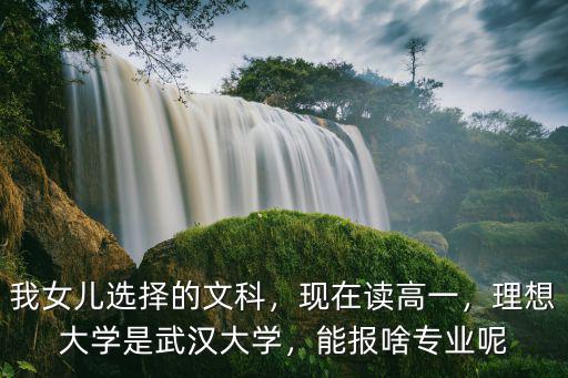 不讀高中的學(xué)生該怎么辦武漢大學(xué),能考上武漢大學(xué)的算學(xué)霸嗎