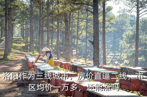 洛陽作為三線城市，房價直逼二線，市區均價一萬多，還能漲嗎