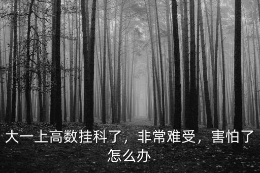 大一上高數(shù)掛科了，非常難受，害怕了怎么辦