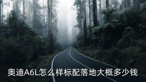 安陽奧迪a6l圖片和價(jià)格多少錢,奧迪a6l標(biāo)配多少錢