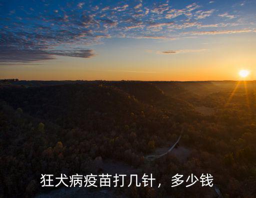 六安狂犬疫苗在哪個醫(yī)院打多少錢,打狂犬疫苗一共多少錢